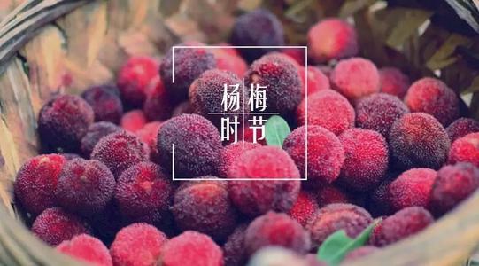 u=2935208104,3105208070&fm=26&gp=0.jpg